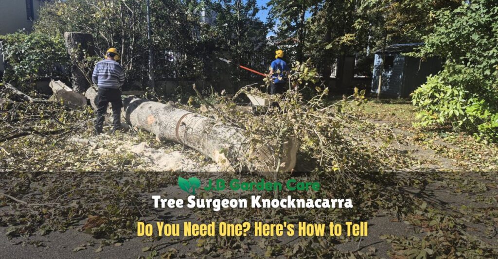 Tree Surgeon Knocknacarra