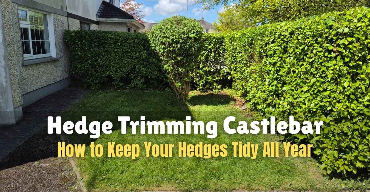 Hedge Trimming Castlebar (1)