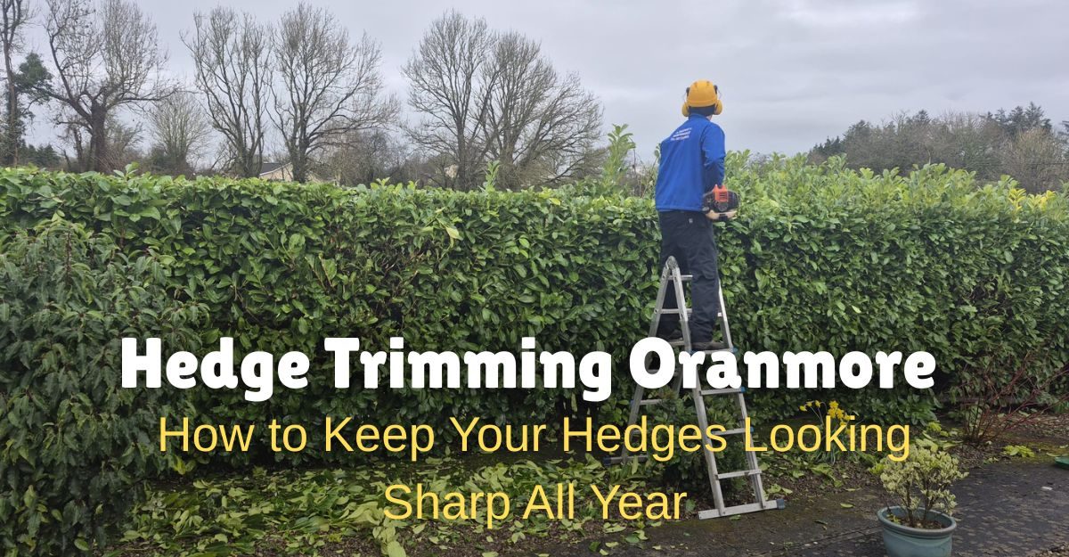 Hedge Trimming Oranmore