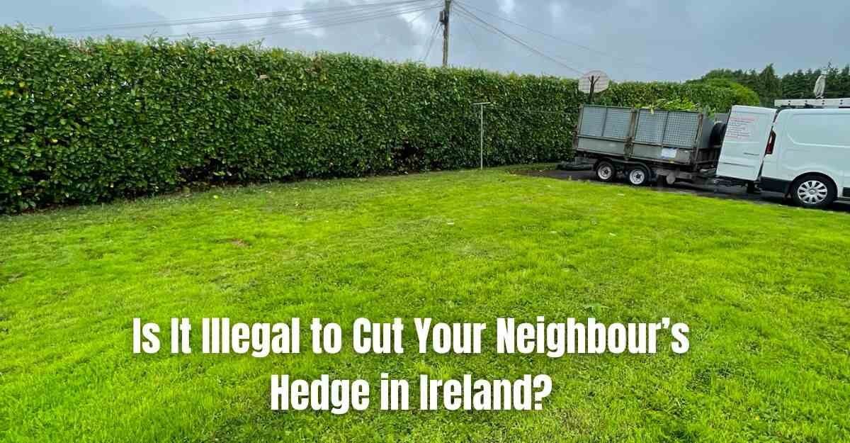 Is It Illegal to Cut Your Neighbour’s Hedge in Ireland (1)
