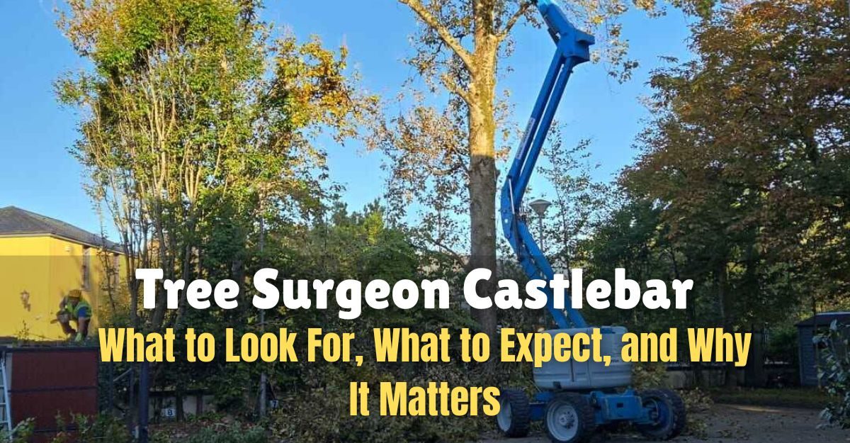 Tree Surgeon Castlebar